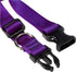 LupinePet Basics Adjustable Collar for Medium and Larger Dogs (1", Purple, 12-20")