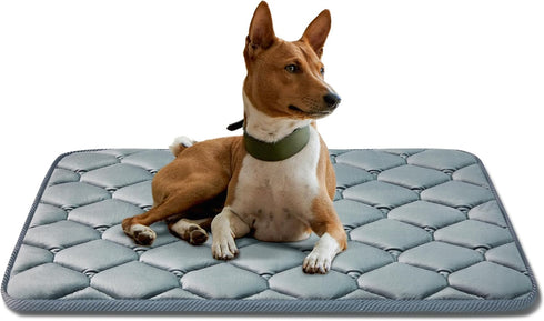 Dog Crate Mats, Soft Washable Kennel Pads with Anti-Slip Bottom for Large Medium Dogs, 35x22, Grey