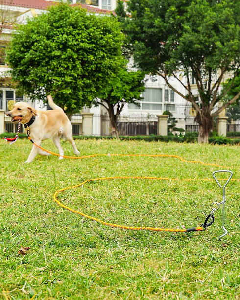 Joytale Long Leash for Dogs, Training Leash with Removable Padded Handle, Double Hook, 15FT/30FT/50FT/65FT for