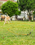 Joytale Long Leash for Dogs, Training Leash with Removable Padded Handle, Double Hook, 15FT/30FT/50FT/65FT for