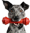 Pet Qwerks Bongo BarkBone, Nylon Dog Bone for Aggressive Chewers, Prime Rib Flavor, Medium