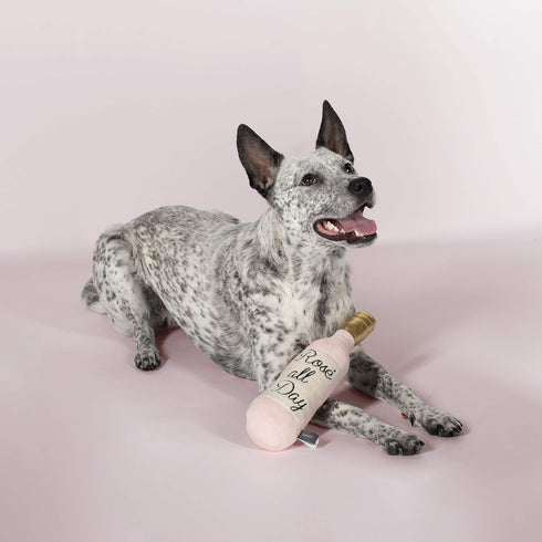 Fringe Studio Dog Toy, Rose All Day Plush Pet Toy (289388) X-Small