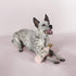 Fringe Studio Dog Toy, Rose All Day Plush Pet Toy (289388) X-Small