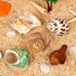5PCS Hermit Crab Shells, Natural Sea Conch Size 2.1" - 2.8" for Hermit Crab Supplies and Beach Decoration