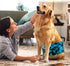 (5 Pack wegreeco Small Dog Diapers Male,Reusable Belly Bands for Male Dogs,Washable Doggie Puppy Male Diapers