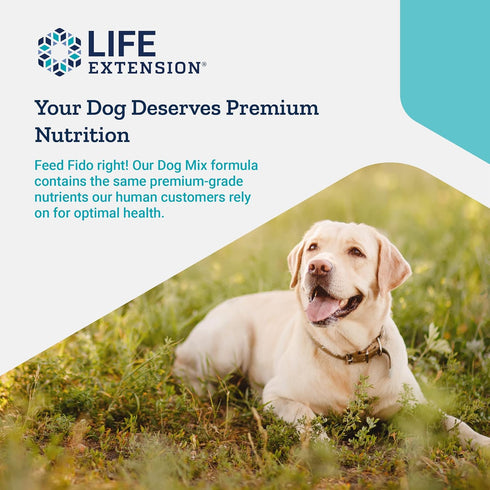 Life Extension Dog Mix - Daily Nutrition Care Supplement Powder for Canine Pets - Advanced Formula, 100 g, 60 Servings