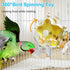 BNOSDM Bird Foraging Toys Cockatiel Foraging Wheel Parrot Cage Spinning Toys Parakeet Enrichment Puzzle Feeder Toy