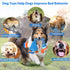 Squeaky Dog Toys for Large Dogs | Tough Tug of War Puppy Toy | Cute Animal Design Plush Chew Toys