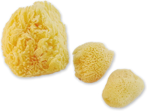 Sea Sponges for Dogs, Luxury Canine Bath Care for Pet Grooming