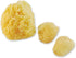 Sea Sponges for Dogs, Luxury Canine Bath Care for Pet Grooming