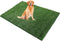 Grass Pad for Dogs, 48" x 30" Artificial Turf for Pets Potty
