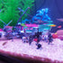 Aquarium Fish Tank Decorations, Decor Accessories Set for Glofish/Betta Fish Bowl, Undead Pirates Figurines