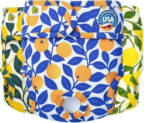 Pet Magasin Super Absorbent Reusable Dog Diapers for Females (3-Pack) - Ideal
