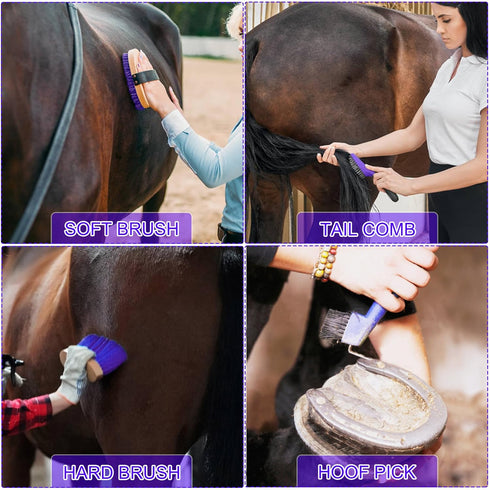11 Horse Grooming Kit - Piece Bathing Supplies with Organize Bag, Full Body Kit Including Sweat Scraper, Bath Sponge