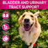 Dog UTI Treatment, Cranberry Supplement for Bladder Control, Urinary Tract Infection Medicine for Dogs, Multivitamin