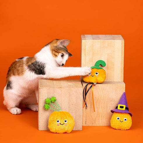 3 Sets, (904056) Fringe Studio Pet Toy, Witch of The Patch PCS Cat Toy Mini PetShop Collection