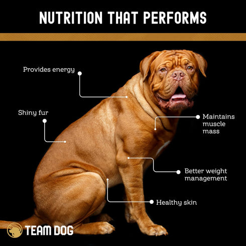 Freeze Dried Turkey Dog Treats for Training | Healthy Gluten Free, Grain Free | No Fillers or By-Products | 5.2 Oz