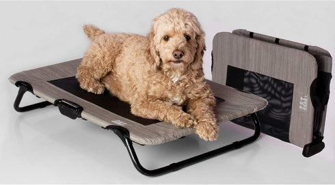 Lifestyle Pet Cot Elevated Bed, Premium Tear Resistant Cooling Mesh, Lightweight & Portable, No Assembly Required, 3