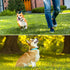 Genuine Leather Dog Leash, 6Ft Super Thin Lightweight Leash for Puppies and Cats Under 15lb