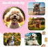 2 Pack Reflective Dog Collar for Large Dogs, Nylon Collars with Quick Release Safety Buckle for Small Medium Dogs