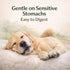 100% 4oz Beef Tendon Sticks Dog Chews Single Ingredient, Long-Lasting Natural Chew for Light & Moderate Chewers