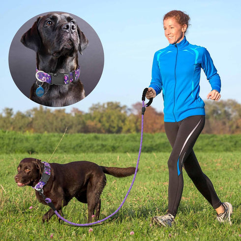 Reflective Padded Dog Collar with Soft Neoprene, Adjustable Nylon Collar for Small Medium Large Dogs (Pack of 1,