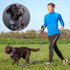 Reflective Padded Dog Collar with Soft Neoprene, Adjustable Nylon Collar for Small Medium Large Dogs (Pack of 1,