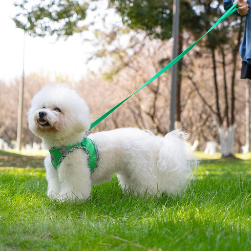Dog Harness and Leash Set, Soft Breathable No Pull Adjustable Reflective Step in Vest for Small Dogs, Cats, Puppy