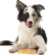 Fieldcrest Farms 3 Pack 35 lbs Nothing to Hide Natural Rawhide Alternative Rolls for Dogs - Bundle (Chicken, Beef