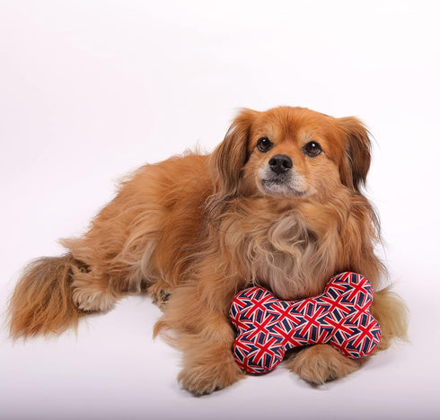 Pet London Union Jack British Flag Squeaker Bone Dog Toy, Full Size Squeaky Insert, UK Design