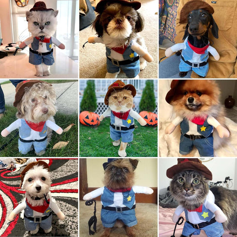 Funny Pet Cat Halloween Costume, Cool West Cowboy Uniform with Hat for Small Dogs & Cats