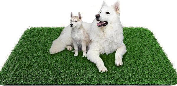 Grass Pad for Dogs 39.3 x 31.5 Inches Fast-Drain Artificial Grass for