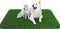 Grass Pad for Dogs 39.3 x 31.5 Inches Fast-Drain Artificial Grass for