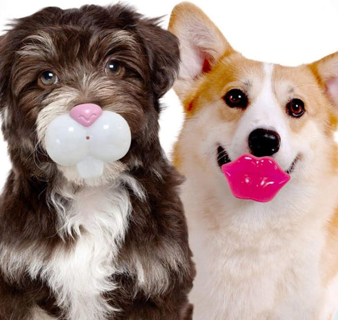 FOUFIT Paci-Chew Chew Toy for Dogs, Bunny 85633
