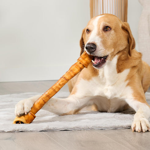USA Beefhide Bones 15-17" Dog Chew Treats, Chicken Flavor, 1 Count/1 Pack