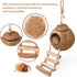 U0U Hermit Crab Coconut Husk Hut with Branch Ladder,Coconut House Hermit Crab Shells Reptile Habitat,Coconut Nest