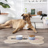 Bone Dry Trellis Paw Print Pet Bowl Set, Non-Slip Silicone Bottom, Microwave & Dishwasher Safe, 2 Count