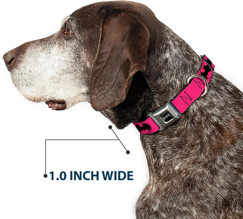 Buckle-Down Seatbelt Buckle Dog Collar - Bat Signal-3 Fuchsia/Black/Fuchsia - 1.5" Wide, Fits 16-23" Neck, Medium