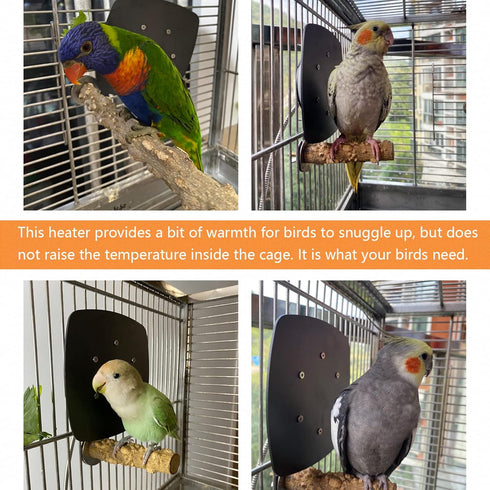 Thermostatical Bird Heater, IP67 Waterproof Bird Accessories, 12V, for Parakeets