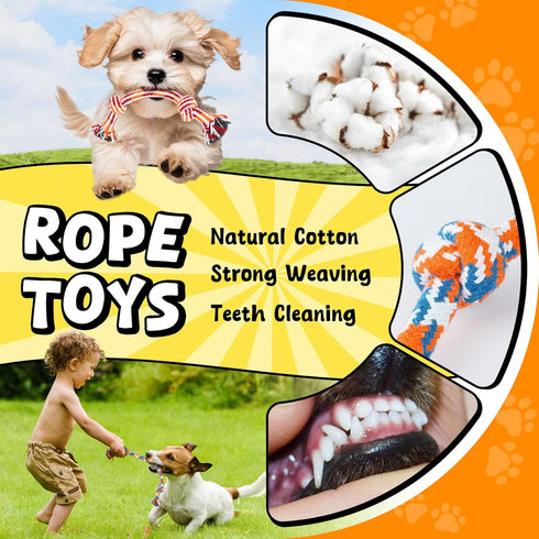 Zeaxuie 9 Pack Puppy Chew Toys, Squeaky Dog Toys, Treat Ball and Rope for Small Dogs