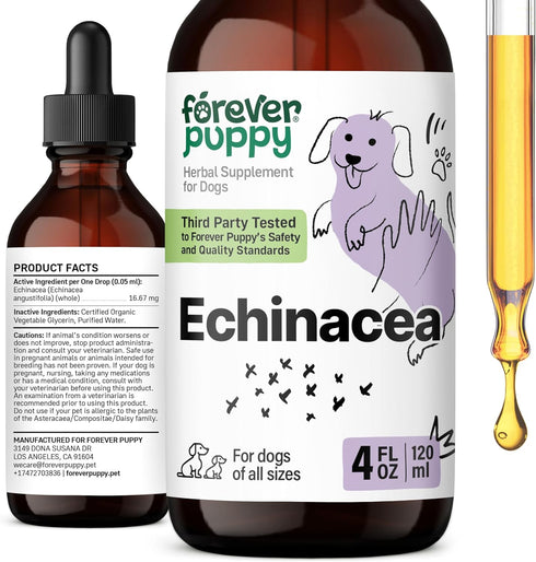 Echinacea for Dogs, Immune Supplement for All Breeds, Liquid Vitamins for Pets - 4 oz