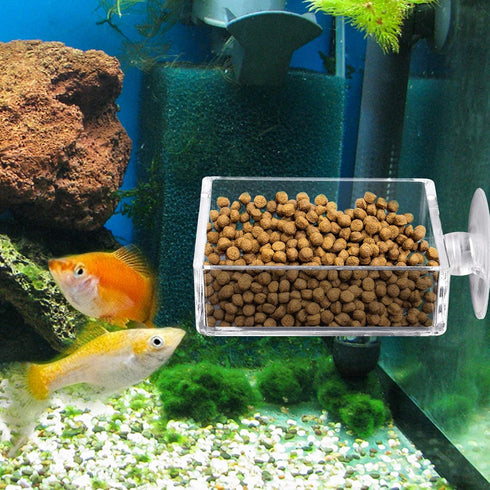 Clear Acrylic Square Shrimp Feeding Dish with Suction Cup for Fish Tank