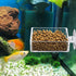 Clear Acrylic Square Shrimp Feeding Dish with Suction Cup for Fish Tank