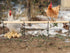 Neeenn Extra Long Chicken Perch Toys, Wooden Chick Perch Stand with Metal Ground Plug, Outdoor Birds Training Platform