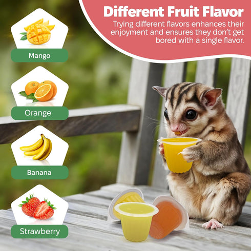 Pack 40 Snout and Shell Pet Jelly Pods Variety - Nutritious Jelly Fruit Nectar Treats for Geckos, Sugar Gliders, Birds