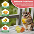 Pack 40 Snout and Shell Pet Jelly Pods Variety - Nutritious Jelly Fruit Nectar Treats for Geckos, Sugar Gliders, Birds
