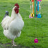VioraWhite 7 2 4 Pack Pcs Chicken Toys, Hanging Chicken Wind Chime, Pcs Coop Mirror Toys with Bells Beak Grinding
