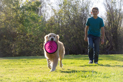 Hyper Pet Flippy Flopper 9" Flying Disc - Soft Dog Toy, Floats in Water, Pack of 5 (Colors May Vary)