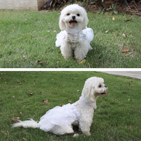 Dog Wedding Dress Bride Outfit, Pearl Necklace and Rose Pet Princess Dress for Puppy Dog Cat (Large)