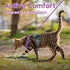 Dooradar Cat Harness and Leash Set, Adjustable Escape Proof Kitten Vest Harness for Walking, Soft Breathable Mesh,